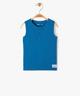 BLEU STANDARD