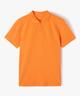 ORANGE VIF