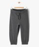GRIS STANDARD