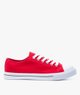 ROUGE STANDARD
