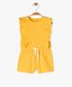JAUNE STANDARD