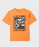 ORANGE STANDARD