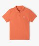 ORANGE STANDARD