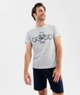 GRIS STANDARD
