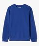 BLEU STANDARD