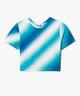 BLEU STANDARD