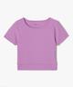 VIOLET STANDARD