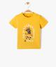 JAUNE STANDARD