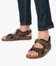 MARRON STANDARD