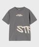 GRIS STANDARD