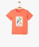 ORANGE STANDARD