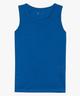 BLEU VIF
