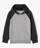 GRIS STANDARD