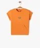 ORANGE STANDARD