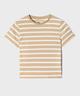 BEIGE STANDARD
