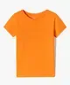 ORANGE STANDARD