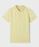 JAUNE STANDARD