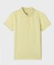JAUNE STANDARD