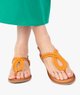 ORANGE STANDARD