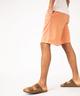 ORANGE STANDARD