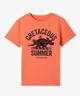 ORANGE STANDARD