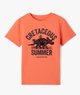 ORANGE STANDARD