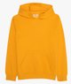 JAUNE STANDARD