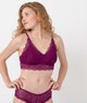 VIOLET STANDARD