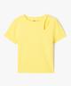 JAUNE STANDARD