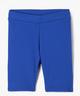 BLEU STANDARD