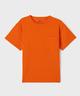 ORANGE STANDARD
