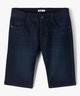 BLEU STANDARD