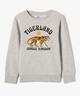 GRIS CHINE MOYEN