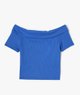 BLEU STANDARD