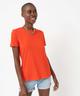 ORANGE STANDARD
