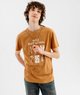 MARRON STANDARD