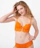 ORANGE STANDARD