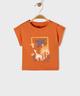 ORANGE STANDARD