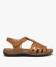 MARRON STANDARD