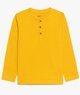 JAUNE STANDARD