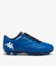 BLEU STANDARD