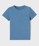 BLEU STANDARD