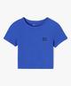 BLEU STANDARD