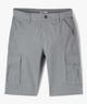 GRIS STANDARD