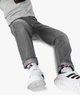 GRIS STANDARD