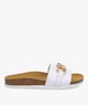 BLANC STANDARD