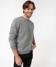 GRIS STANDARD