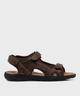 MARRON FONCE