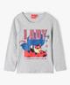 GRIS STANDARD