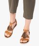 MARRON STANDARD